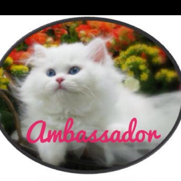 Make me an Offer - Picture 2 of 2